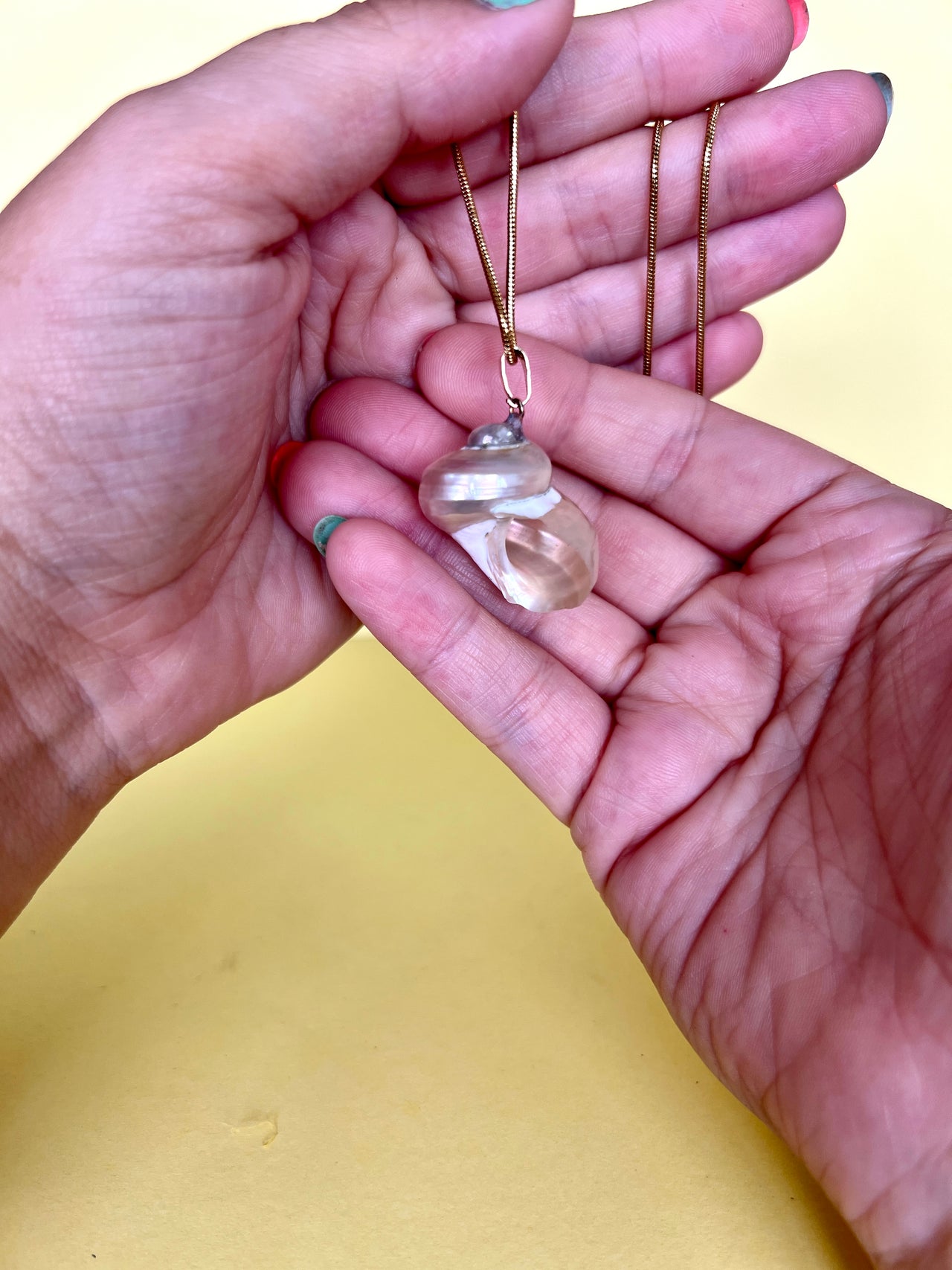 The Mira Necklace (Pearl Snail Shell)